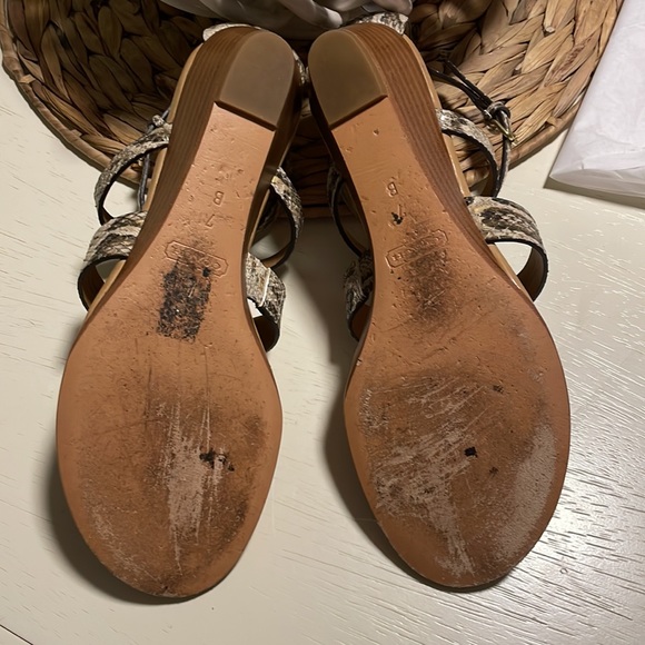 Coach printed python Vicky sandals size 7 worn once - Picture 9 of 15